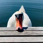 Πλωτό κατάλυμα Hausboot Hafenkoenig