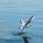 Πλωτό κατάλυμα Hausboot Hafenkoenig