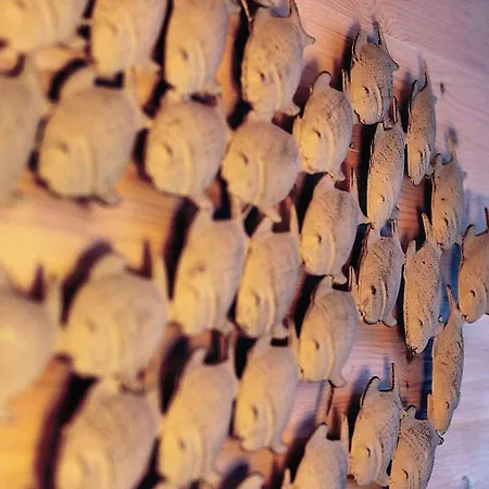 Hausboot Hafenkoenig Lübeck